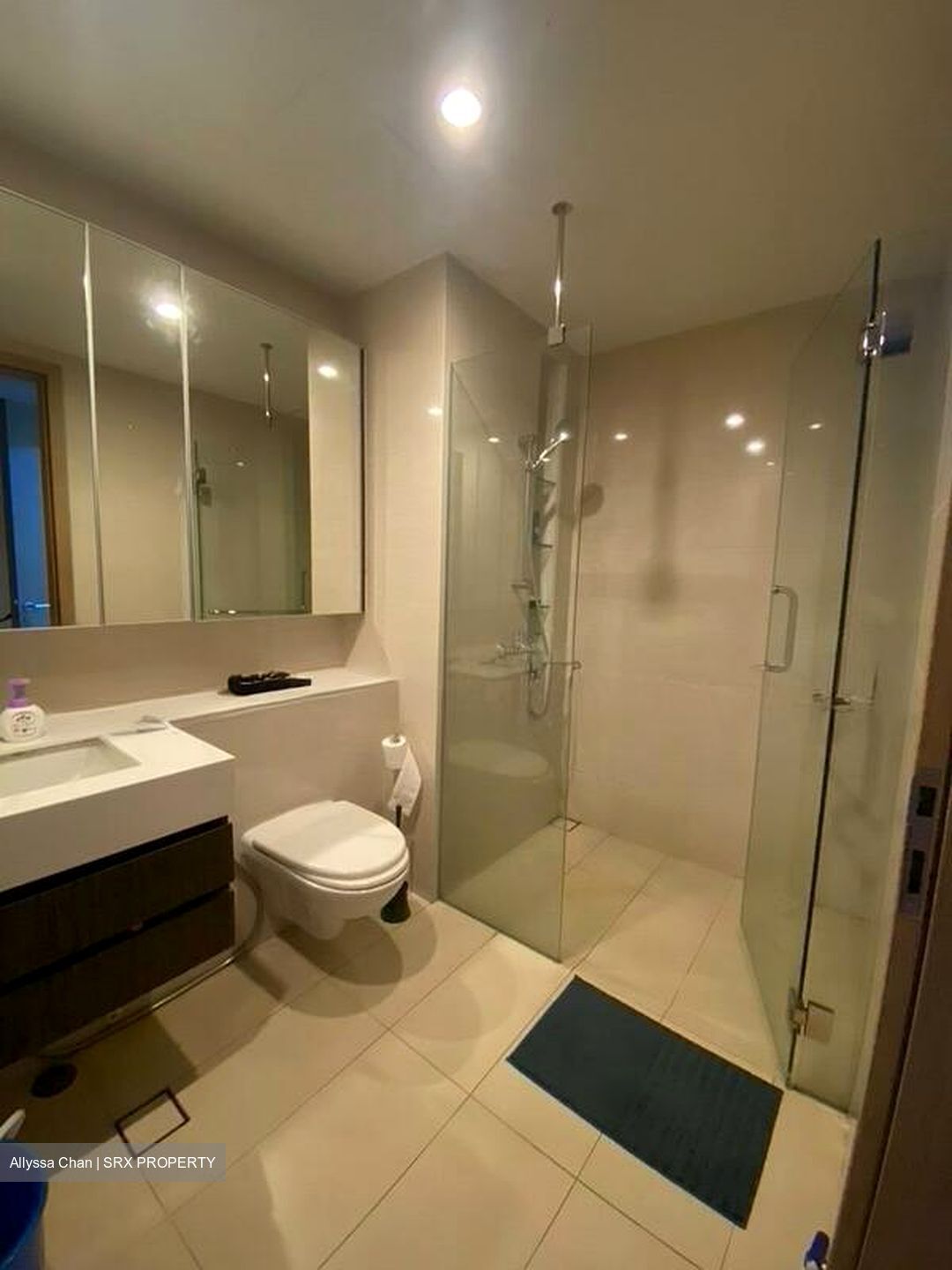 The Palette (D18), Condominium #497729711